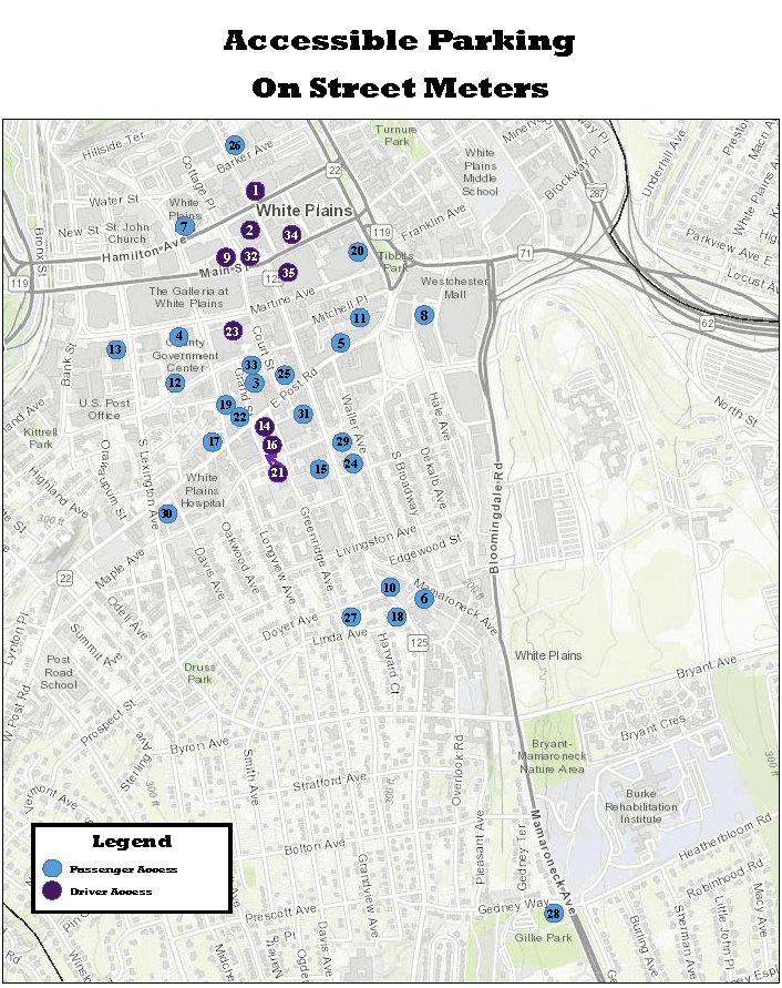 Accessible On Street Parking Map 2021_Page_1