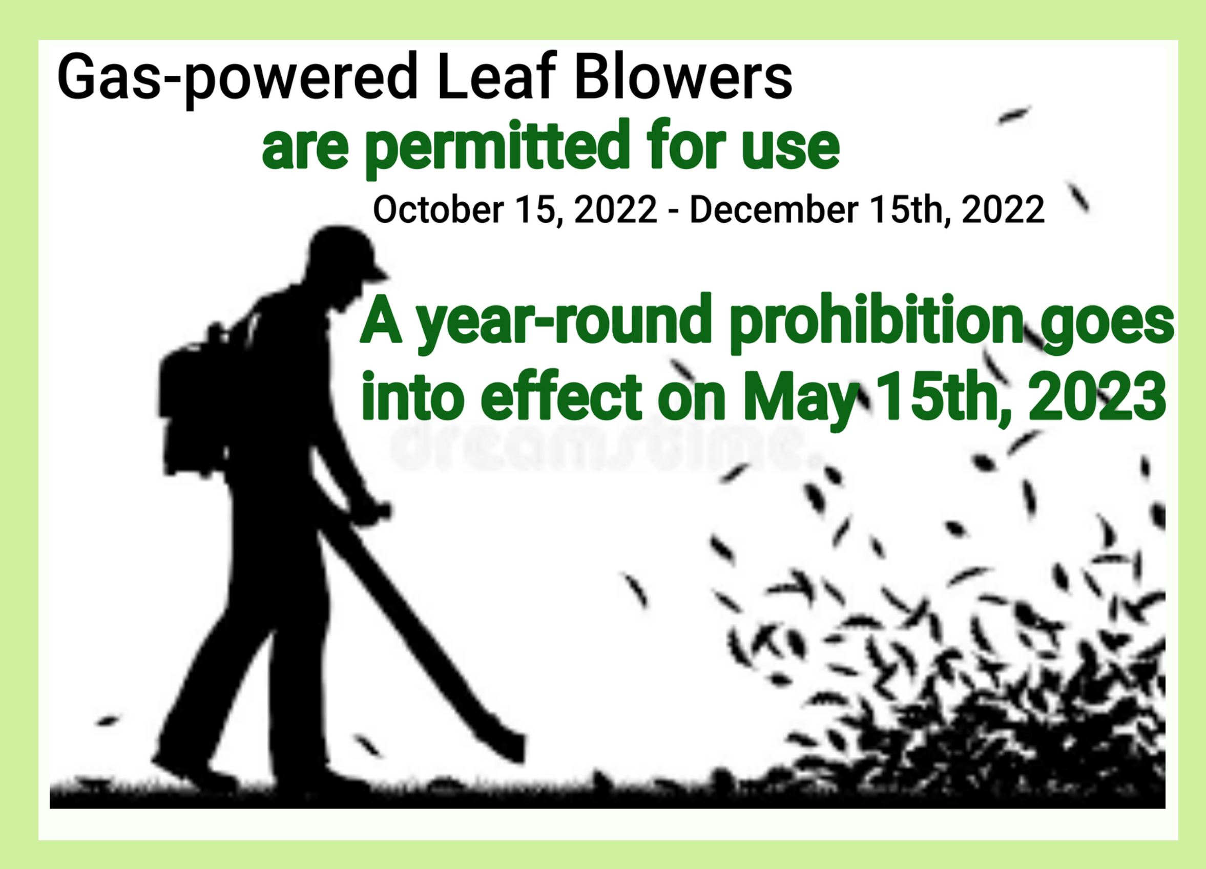 gas powered leaf blower for spotlight section