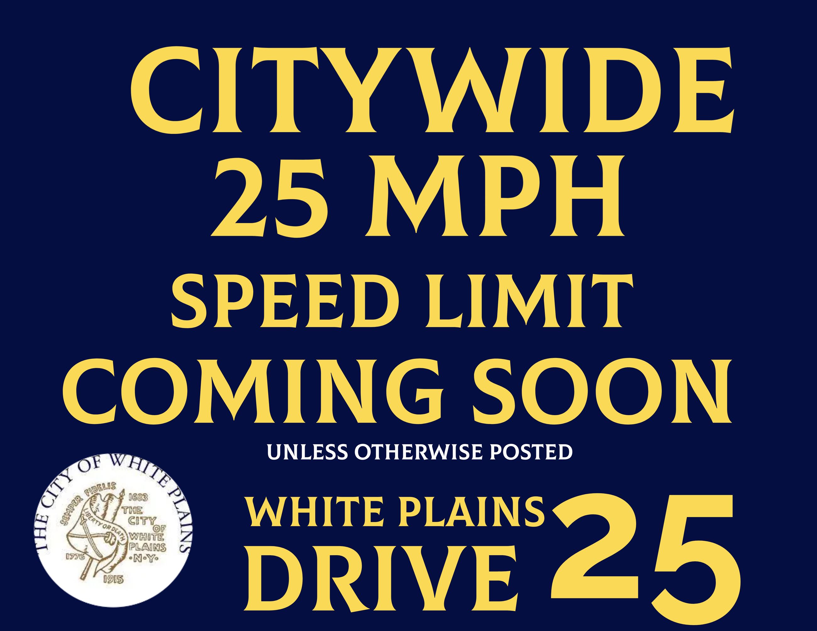 UntitledCITY WIDE SPEED LIMIT DARK BLUE AND YELLOW hyphen removed